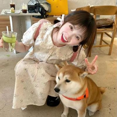美人鱼